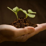 istock_000006223748xsmall1